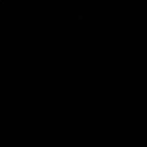 Meet your Posher, Naomi